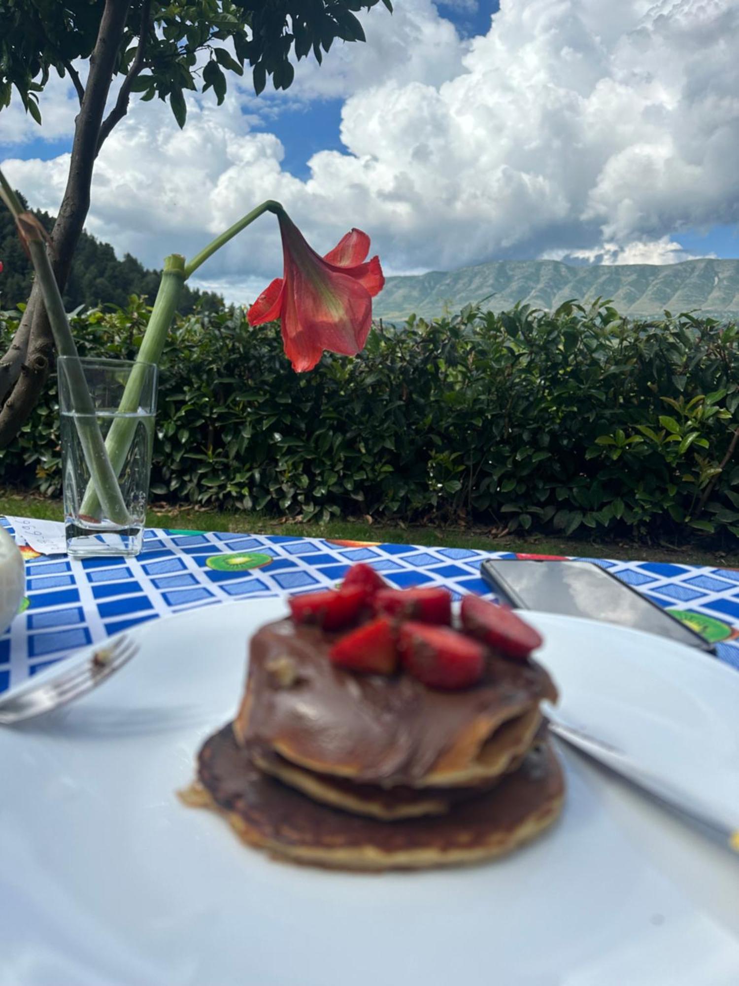 Hotel Villa Edis ベラト エクステリア 写真